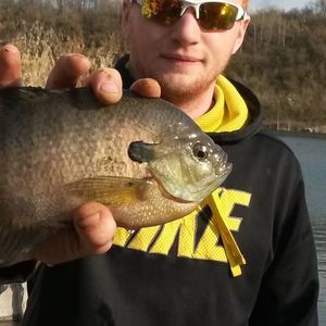 Meet your Posher, Kris